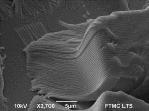 AFM profiles of periodic microstructures arrays with 600 nm period fabricated using different