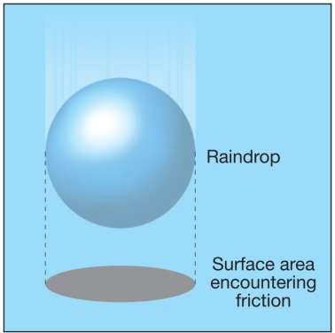 How precipitation forms