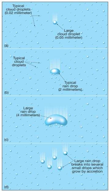 Collision-Coalescence Process -Larger drops fall faster than smaller drops, so as the drops fall, the larger drops overtake the smaller drops to form larger drops until rain drops are formed.