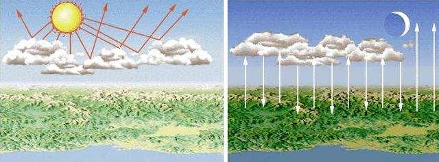 Impact of clouds on climate
