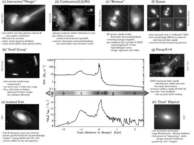 Super Massive Black Holes Hopkins et al. (2006) Hopkins et al. (2008) -! SMBHs are believed to exist in every bulge (Kormendy & Richstone1995;! Ferrarese & Ford 2005). -! a tight correlation between black hole masses with host galaxy properties!