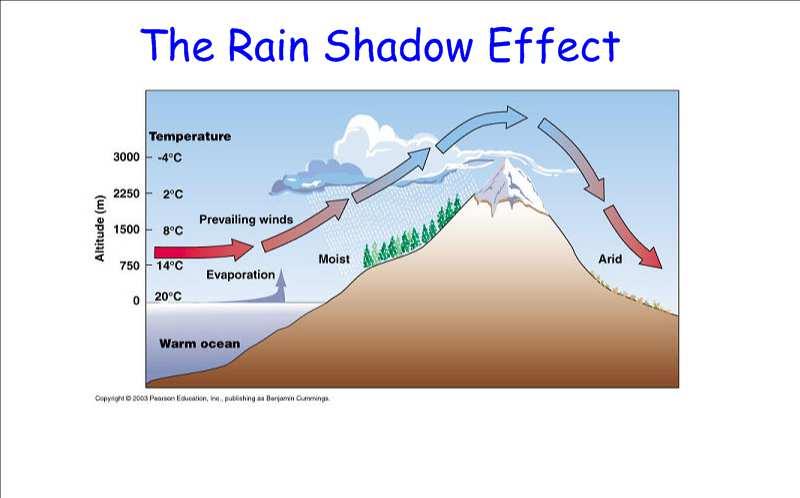 High Pressure = Sinking Air = Little Rainfall Why are the tropical rain forests at the equator?