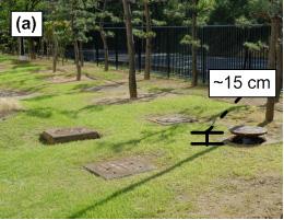 Figure 1.4 Photographs of (a) raised pile at vertical array, showing ground settlement; and (b) settlement around Service Hall building.