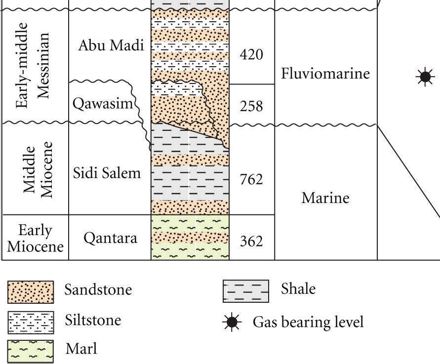 The studied section is differentiated into the rock units: Qantara, Sidi Salem,, and formations of the Miocene age; Kafr El Sheikh and El Wastani formations of the Pliocene age; Mit Ghamer