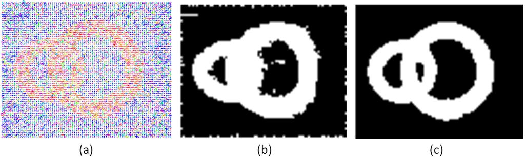 Fig. 1. Two-class DTI segmentation. (a) Synthetic DTI image with noise. (b) The binary segmentation result using the method proposed in [15]. (c) The DTI segmentation result using the propose method.
