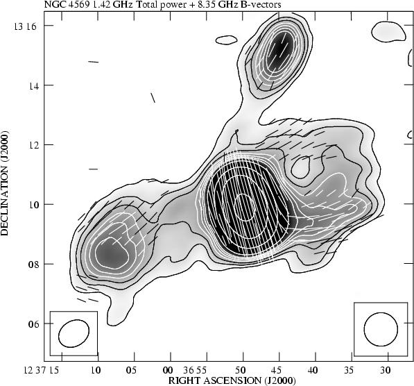 NGC 4569 a galactic wind in a ram pressure wind? Mach cone (based on Vollmer et al.