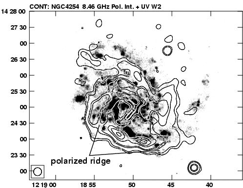 large-scale regular magnetic field: PI ~ n e B 2-4 Polarized