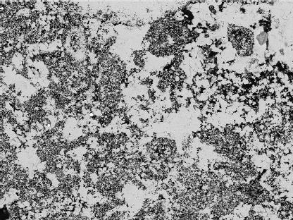 1 micron voxel resolution. Image size is 700x400 microns. Although the sample porosity is >20%, only a small percentage of the image is clearly porous.
