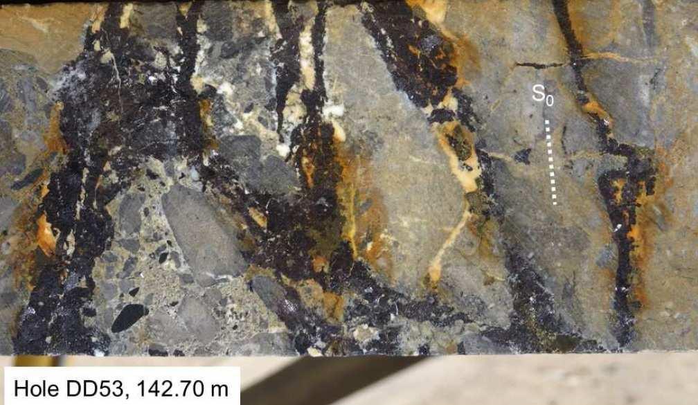 Mineralization I - Zinc Replacement of