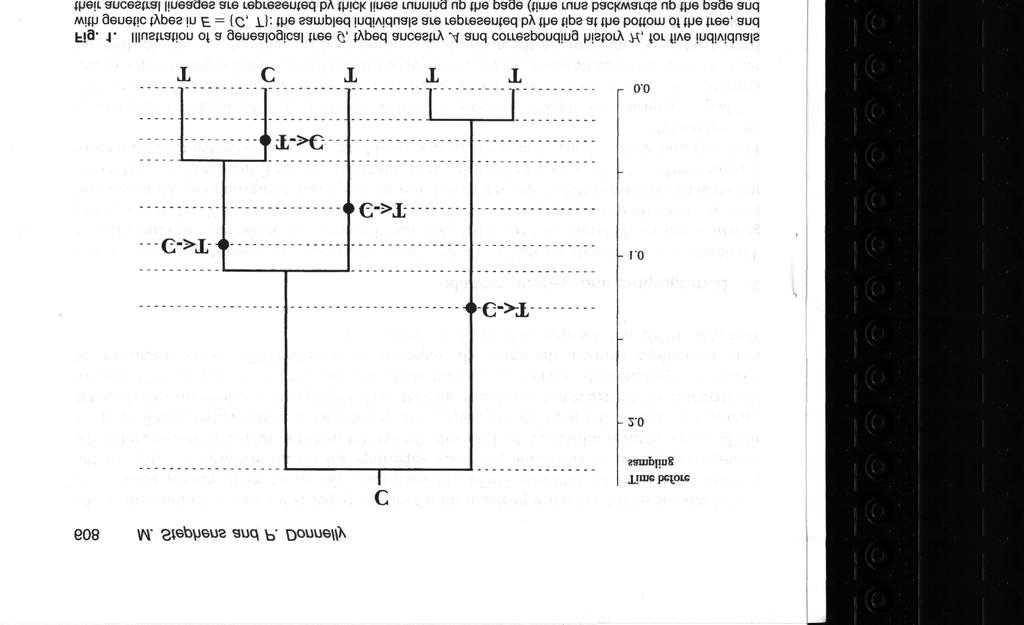 210 Appendix B Notes on 68, 69 Figure B1 Genealogical tree G, typed ancestry A and history H This is Fig 1 from Stephens and Donnelly (2000) 68 Importance sampling We want to compute the distribution