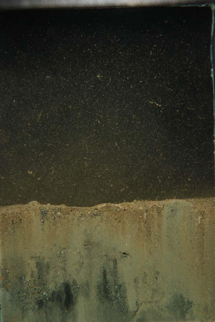 recent dredged material deposits consisting of compact sands intermixed with silt.