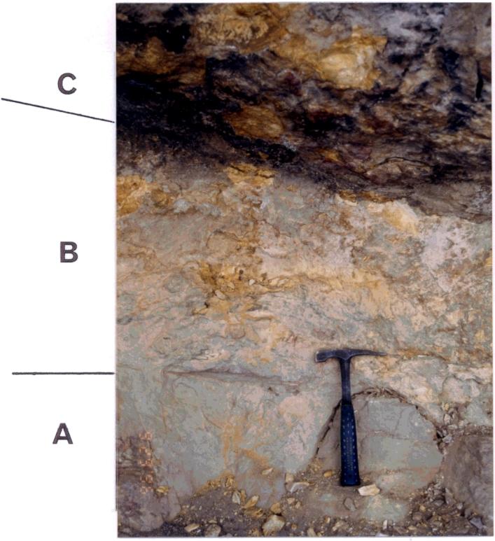 Element profiles of Cretaceous-Tertiary boundary at Medetli, Turkey 683 PETROGRAPHY AND MINERALOGY Fig. 3. A photograph of the outcrop.