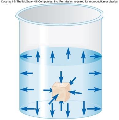 Chapter 9 Fluids States of Matter - Solid, liquid, gas. Fluids (liquids and gases) do not hold their shapes. In many cases we can think of liquids as being incompressible.