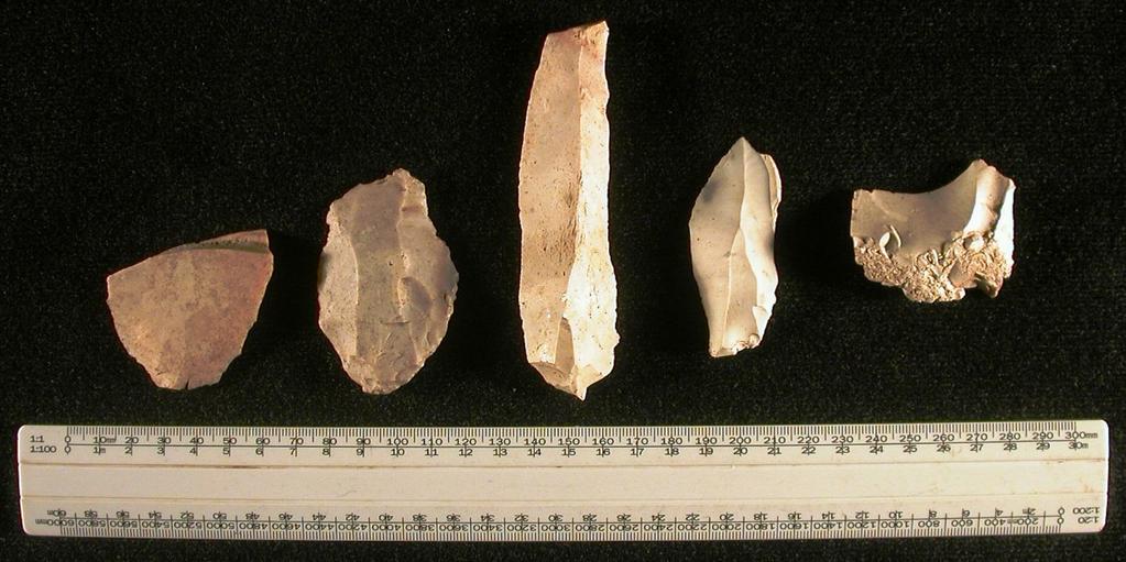 Plate Nine: Flints recovered from the hut interior