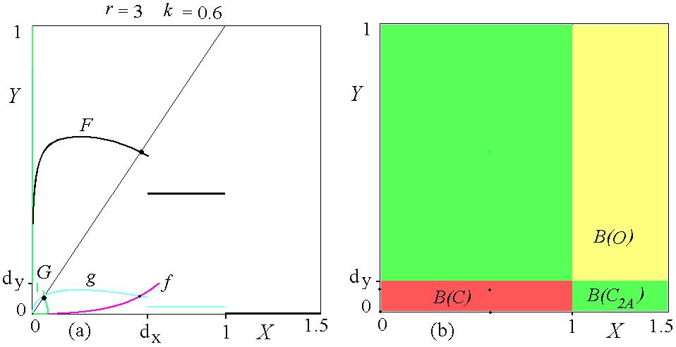 Fig. r = 3, k = 0:6. Reaction functions in (a). Basins of attraction in (b). Considering the case shown in Fig.