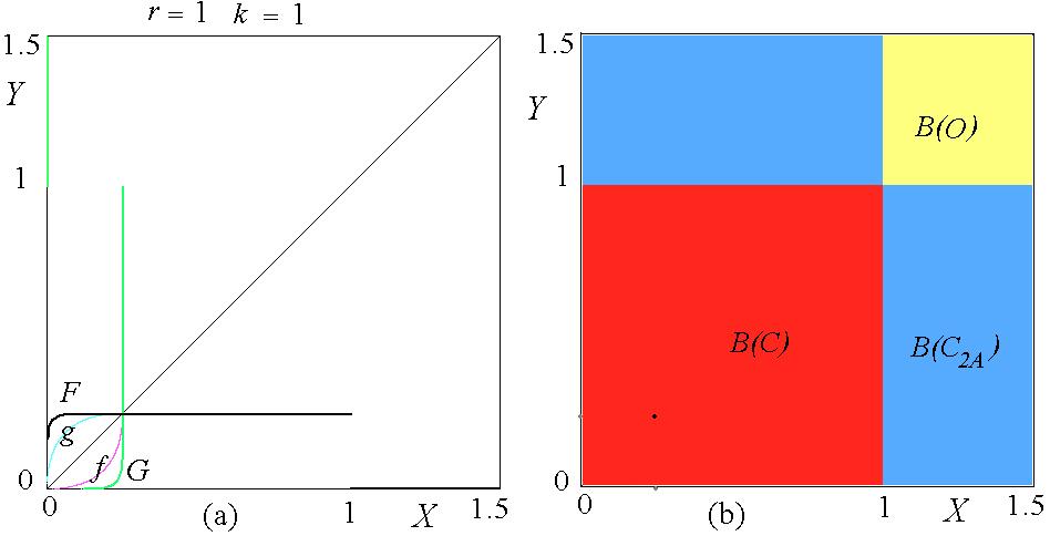becomes C = (XC ; Y C ) = ( ; ) ant it is stable. The structure of the 4 4 basins in the particular point (r; k) = (; ) of the parameter plane is shown in Fig.