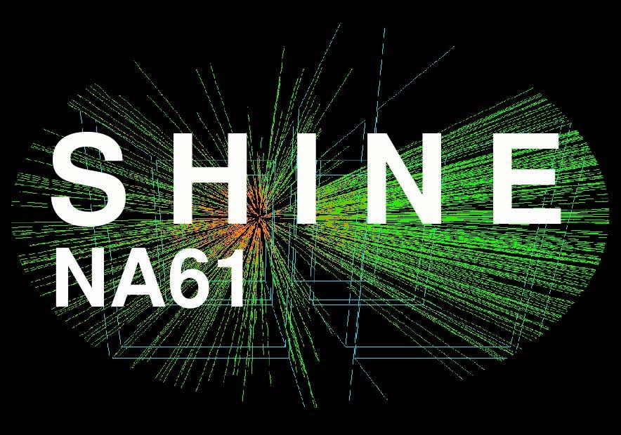HARP and NA61 (SHINE) hadron production experiments and their implications for neutrino physics International Workshop on Next Nucleon decay and Neutrino detectors (NNN08) 11-13 September
