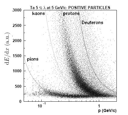 HARP PS214 at CERN Stability from LH2 target to other targets consider average momentum of protons with de/dx [7-8] MIPs H2