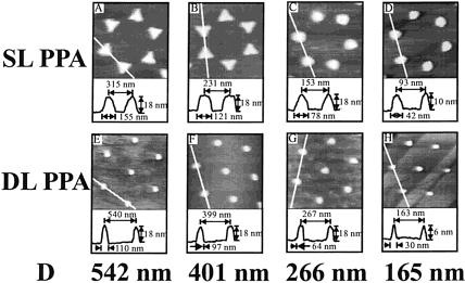 Feature Article J. Phys. Chem. B, Vol. 105, No. 24, 2001 5605 Figure 10. AFM images and line scans of representative Ag nanoparticle arrays on mica substrates.