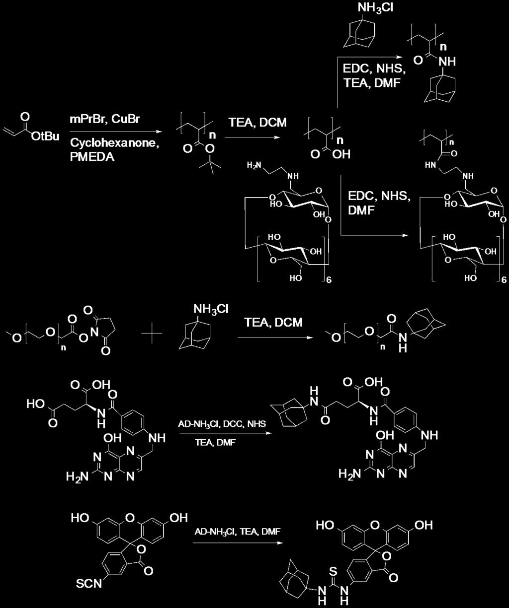 1. Synthetic scheme of various components PAA-AD PAA-CD PEG-AD FA-AD FITC-AD Scheme S1.