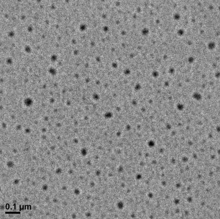 The TEM samples were prepared by dropping the sample solution (10 µl) onto pieces of hydrophilic copper