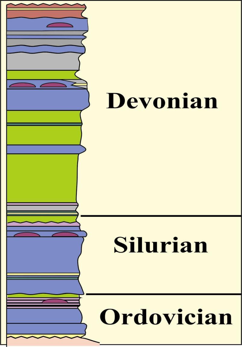Devonian to Upper Ordovician Shallow-marine platform carbonates, shales and local bioherms ------------------------------- variably thick, restricted marine evaporites