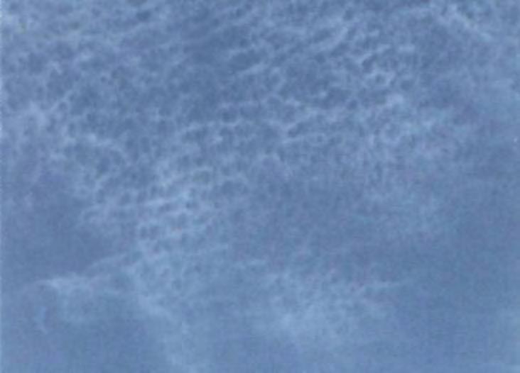 9 Cirrocumulus alone, and/or