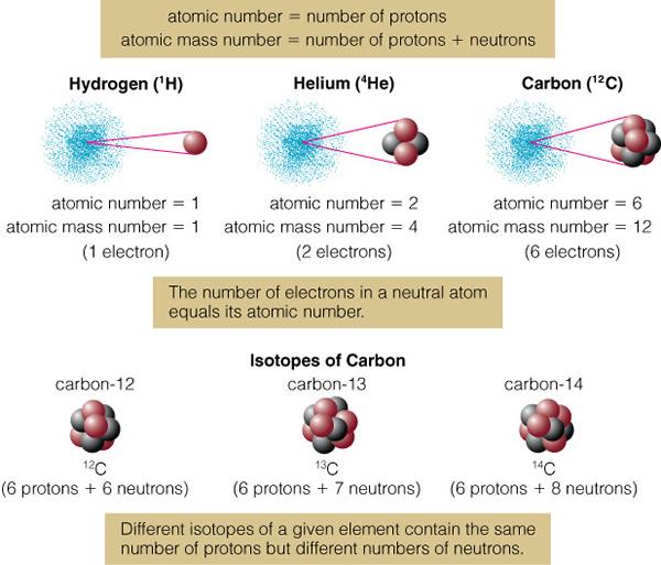 Atomic Structure: Protons(+), Neutrons(0), Electrons(-) At a solid phase, molecules are held tightly together (low thermal energy).