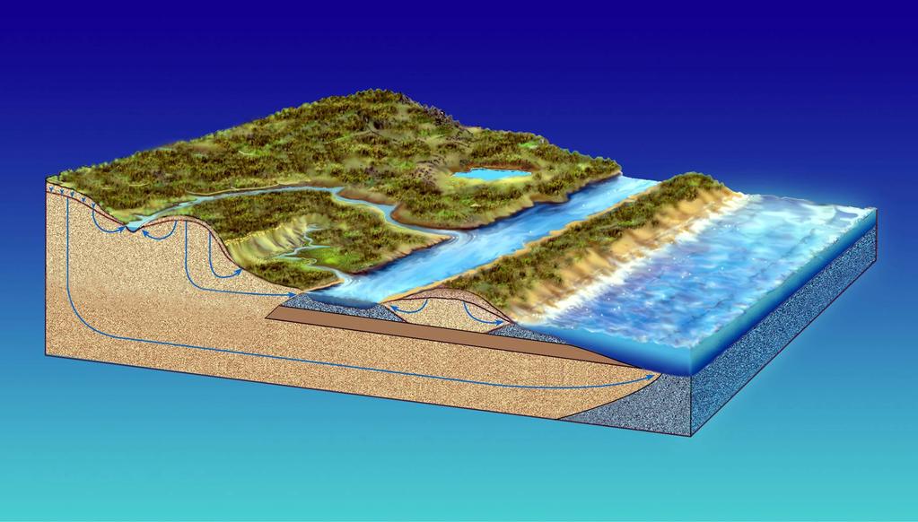 Submarine ground water estuarine inputs Recharge