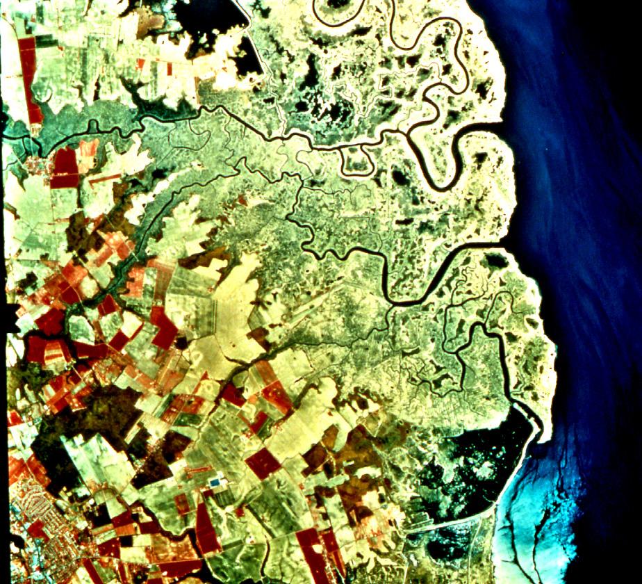 Satellite Image of