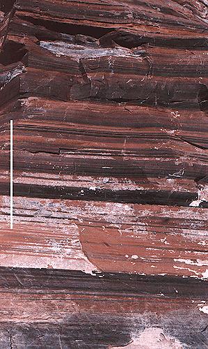 Burgess shale bedding: note fine lamination,