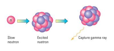 Thermal neutrons gain and lose only small amounts of energy through elastic scatter They diffuse about and are captured by the nucleus Excited nucleus emits capture