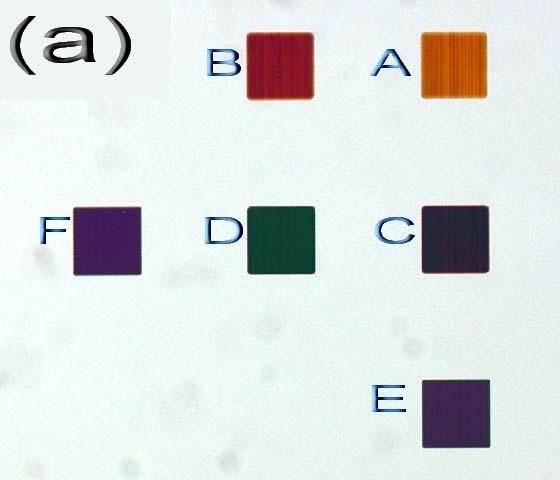 Figure 2 Figure 2: Optical microscopy