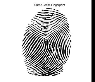 Part D: Physical Evidence (worth 15%) Suspect Fingerprints: 1.