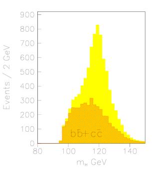 corrected for neutrinos Add overlap QCD events (~1 per B.C.) Typical Cuts: Durham jet algo. (y cut = 0.
