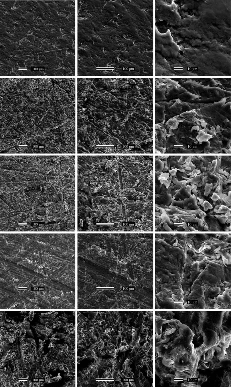 Figure 2: SEM images of a series of Teflon surfaces sanded with sandpaper of various grit designations.