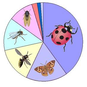 Insect diversity and significance More species of insects than all other animals combined- millions of species Entomology- the study of insects- courses, academic departments, professionals 8-10K