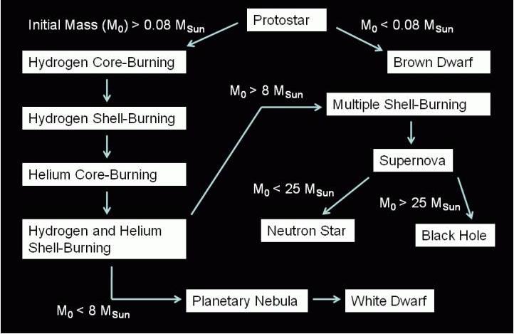 15 Post-main sequence stellar evolution After the MS, the core becomes structured in concentric shells in which H, He, C/O, etc., burn at various times.