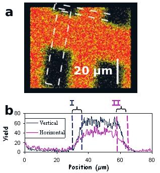 Figure 4.1 Backscattered carbon ions from a gold TEM grid (a). The resolution of the focused beam is determined by the width of the edges I and II in figure (b). 4.2 Ion beam induced hydrogen release In quantified analysis of materials all factors influencing the accuracy must be recognised and assessed.