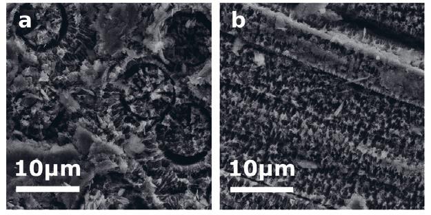 Figure 4.5 Details of (a) the ex-pitch region with the fibre coming out of the sample and (b) the ex-pan region with the fibre in the plane of the surface. Figure 4.