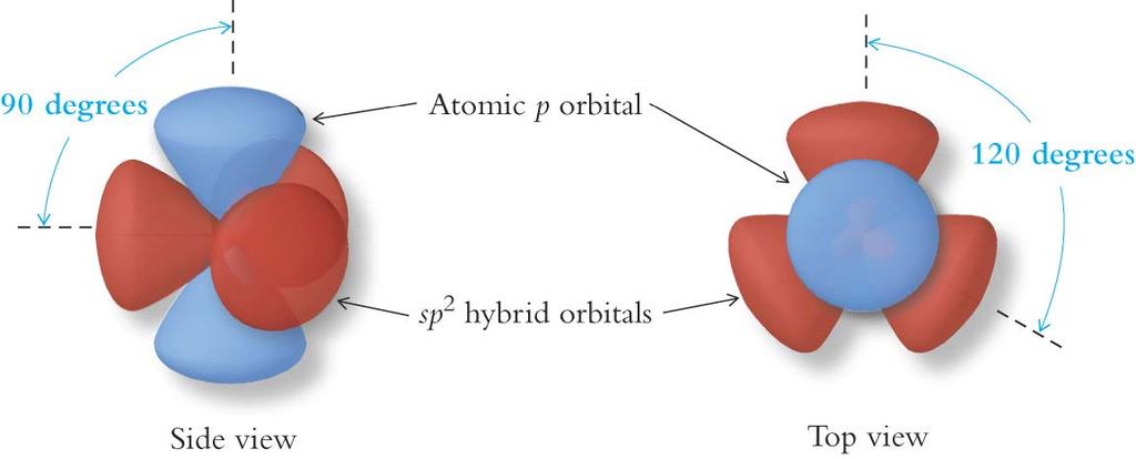 sp 2 hybrid orbitals Mixes an s orbital with two p orbitals (s+p+p) Required by