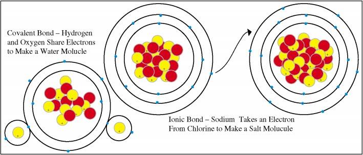 Model of Covalent and Ionic Bonds Atoms interact with other atoms by sharing or transferring electrons that are farthest from the nucleus.