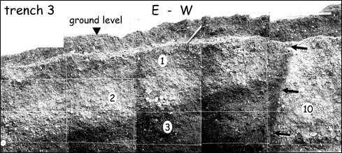 Figure 1: Outcrop indicating faulting through the near surface (black arrows). Image courtesy of Galli et al. (25).