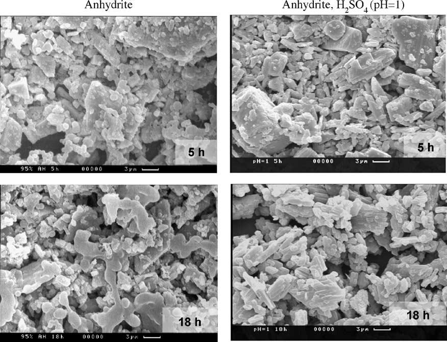 628 T. Sievert et al. / Cement and Concrete Research 35 (2005) 623 630 Fig. 6. Variation of amount of gypsum in the hydrating anhydrite, with time, at different temperatures. Fig. 7.