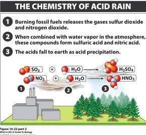 Changes in Acidity