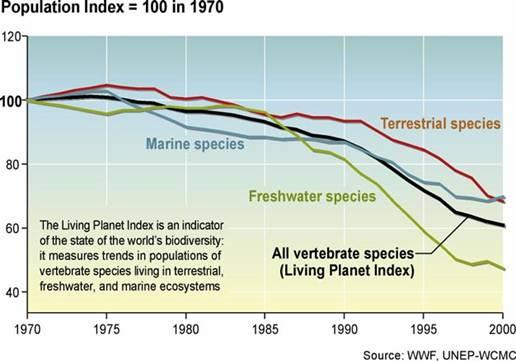 threats to biodiversity biodiversity and ecosystem functioning increasing anthropogenic impact on ecosystems recent decades have seen an increasing threat to (species) biodiversity worldwide
