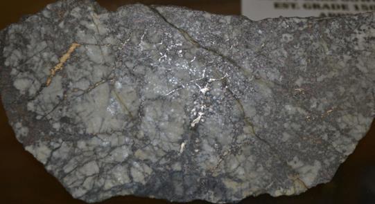 COBALT PROJECT SUMMARY Two past producing, high-grade silver mines in the Cobalt Camp, Ontario.
