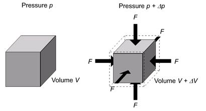F / A FL Y L / L AL It is different for different materials. N/m.Bulk modulus or volume elasticity (K): The ratio of volume stress to volume strain of a material body is calledbulk modulus.
