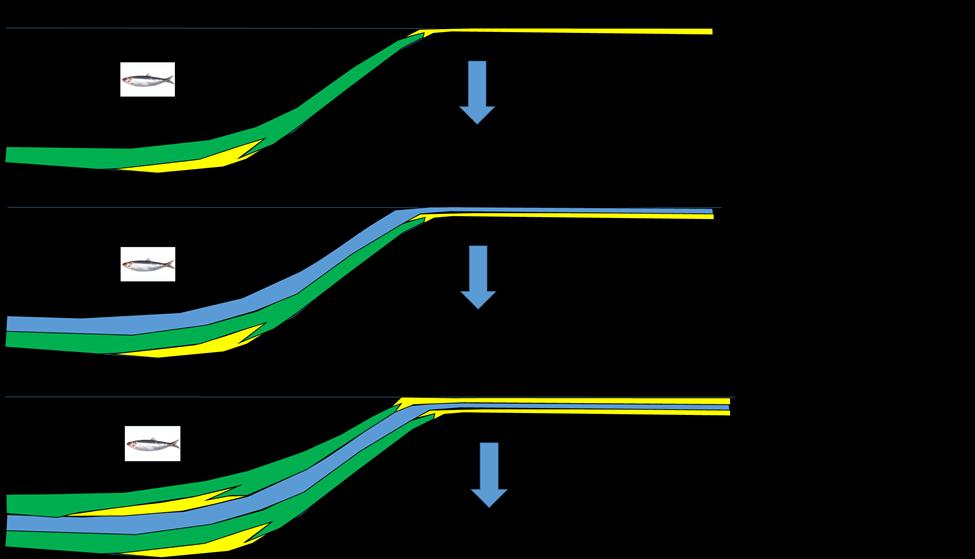 The Shallow Gas Play can be Summarized as Schematic evolution of the deposition of reservoir sands/seals. Sands are shown as yellow, clays as green or blue.