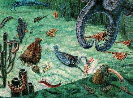 The Cambrian Explosion Slide 71 / 92 At the beginning of the Paleozoic era, multicellular animals underwent an 'explosion' in diversity known as